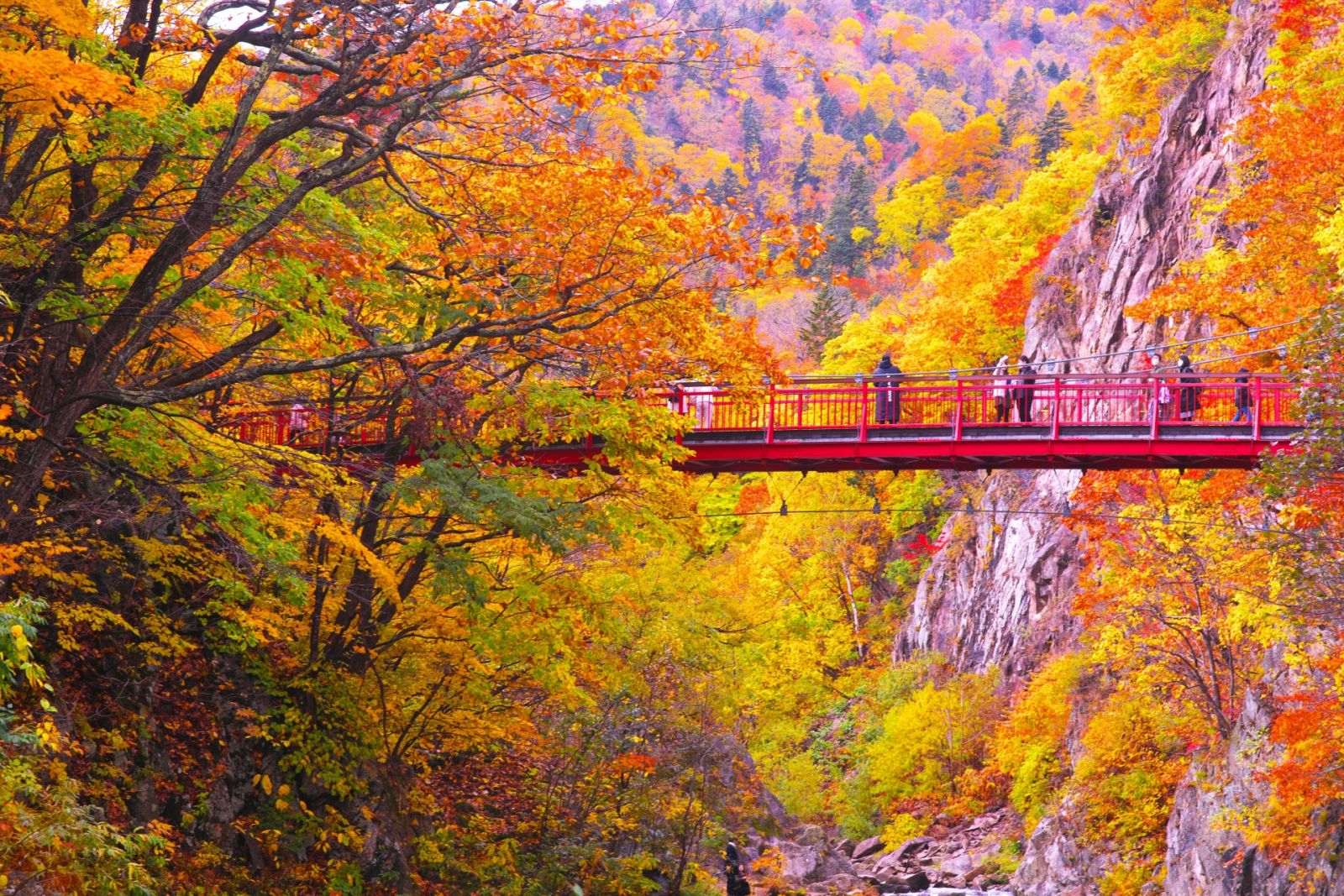 二見吊橋(FUTAMITSURIBASHI) パワースポット 北海道観光 NorthSmile